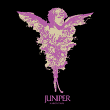 Load image into Gallery viewer, juniper t shirt
